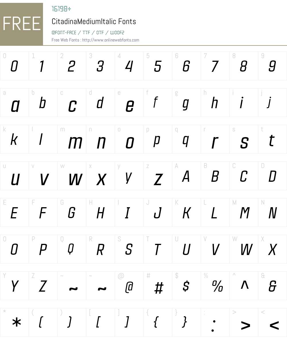 CitadinaMediumItalic Font Screenshots