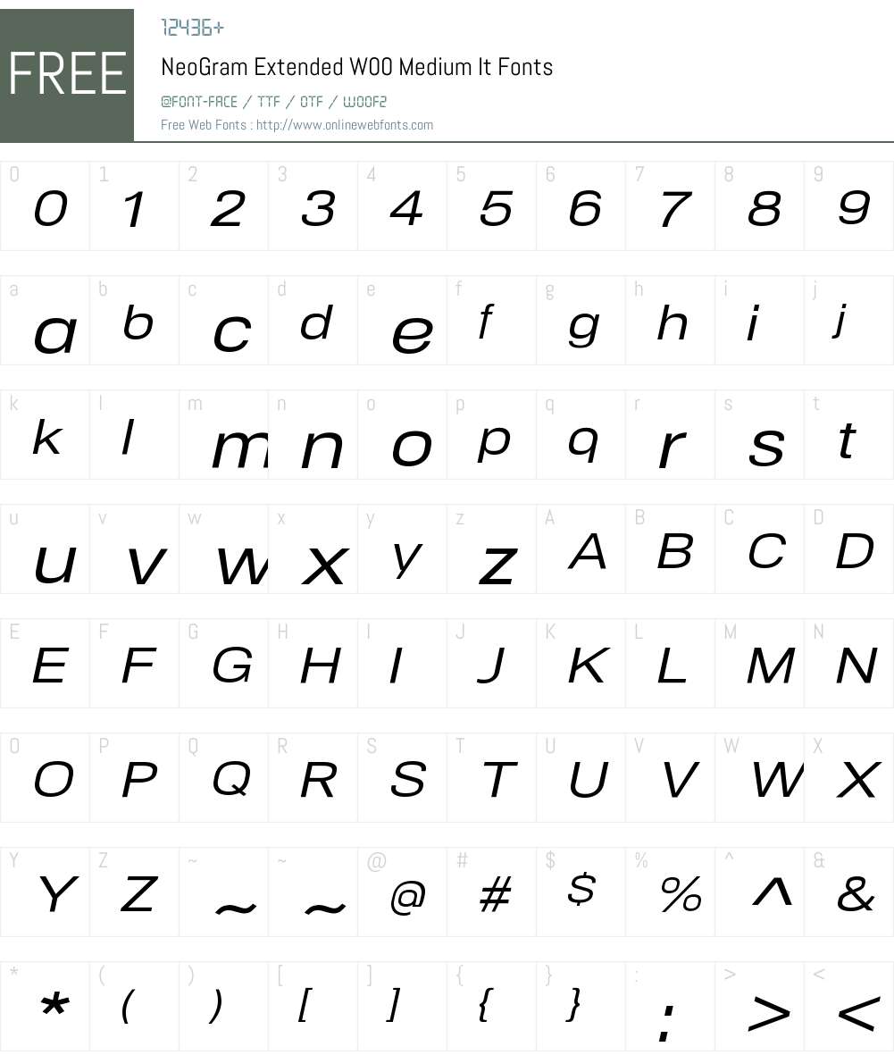 NeoGramExtendedW00-MediumIt Font Screenshots