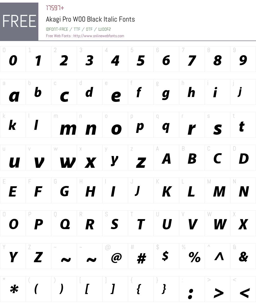 AkagiProW00-BlackItalic Font Screenshots