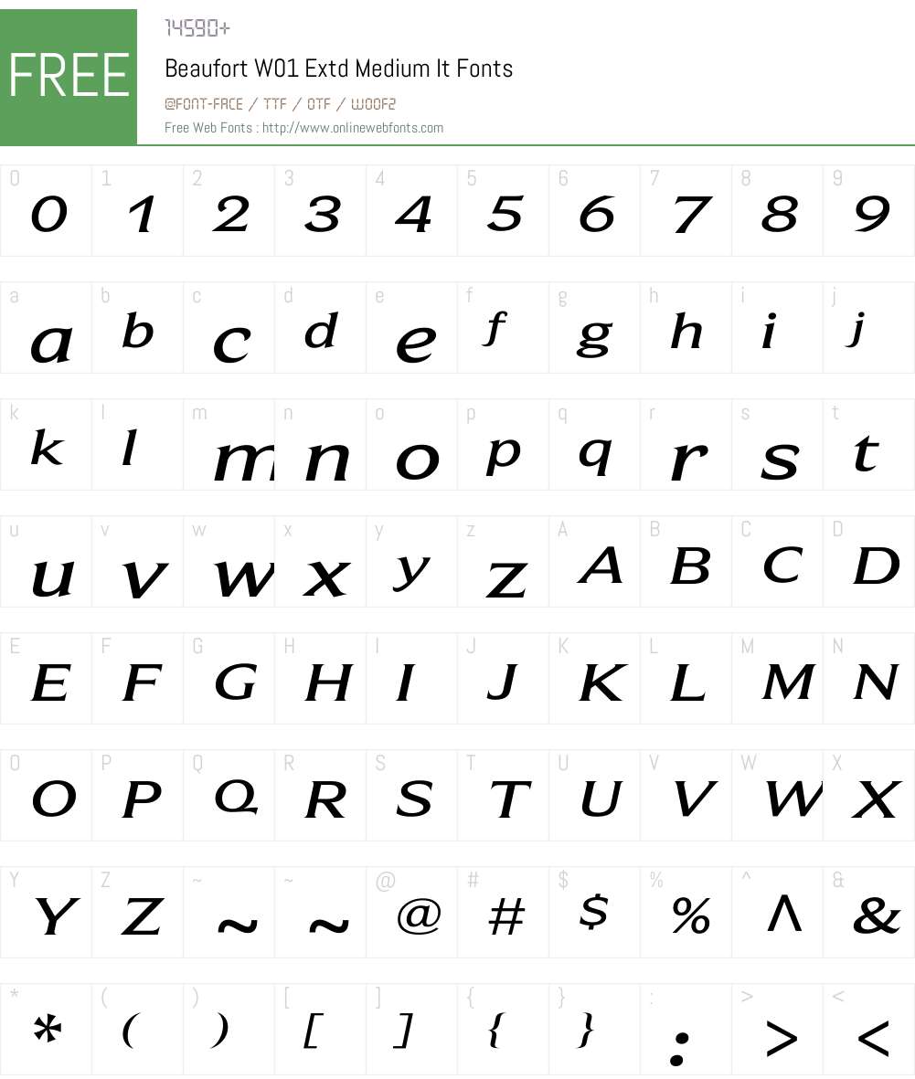 BeaufortW01-ExtdMediumIt Font Screenshots