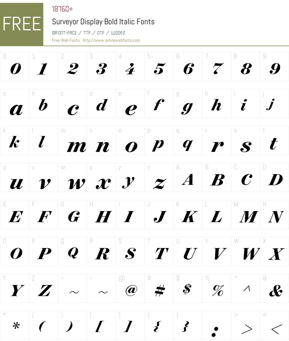 Surveyor Display Bold Font Screenshots
