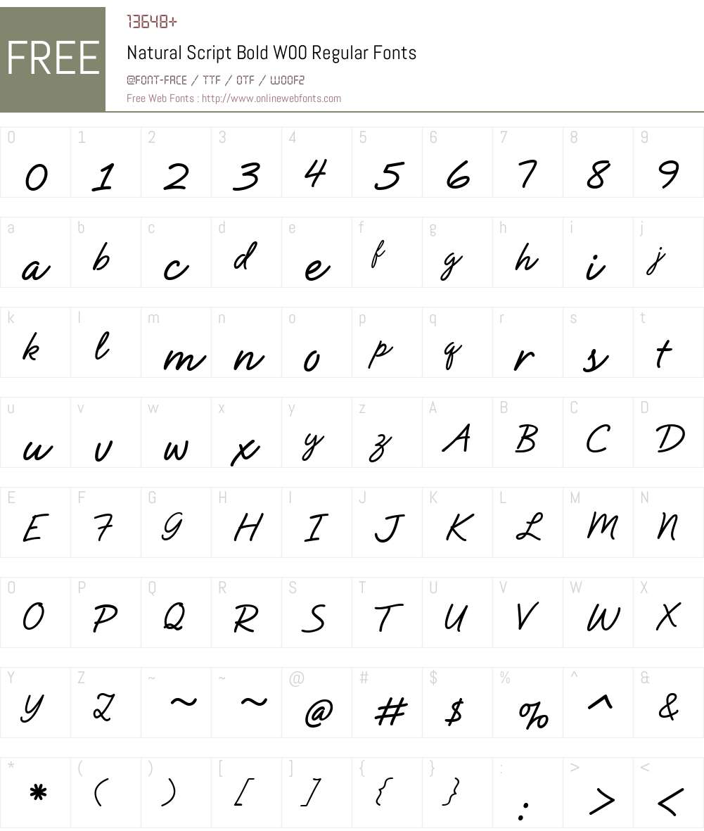 NaturalScriptBoldW00-Rg Font Screenshots