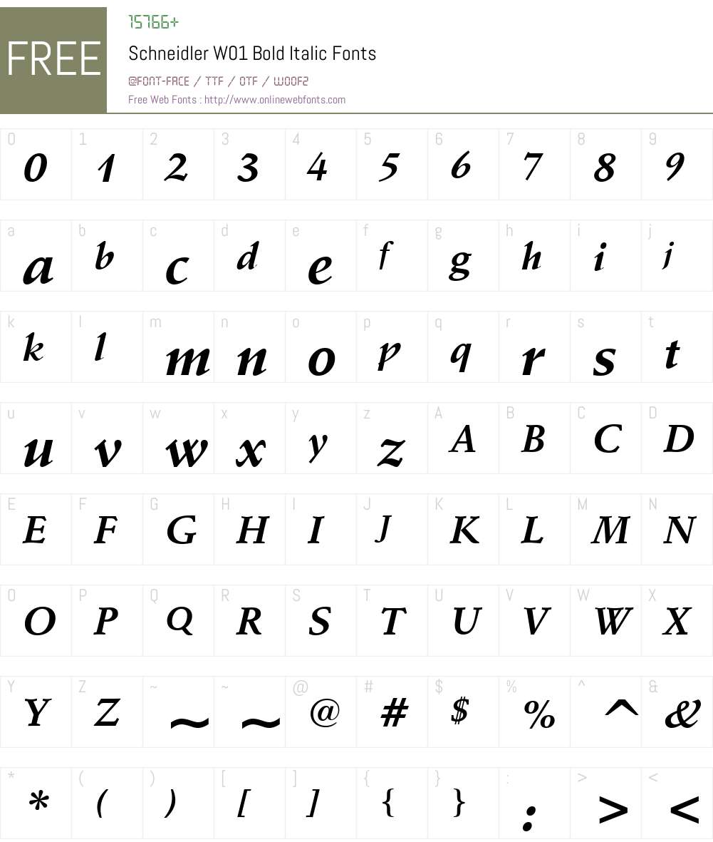 SchneidlerW01-BoldItalic Font Screenshots