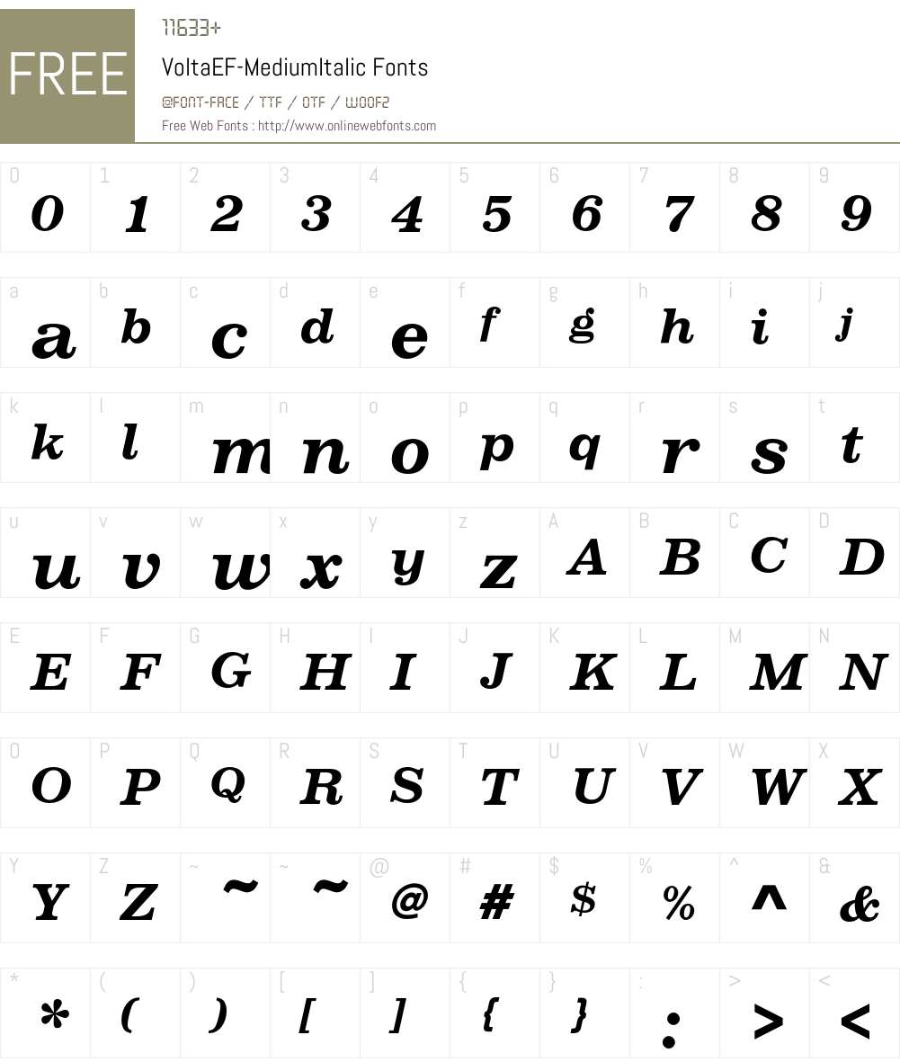 VoltaEF-MediumItalic Font Screenshots