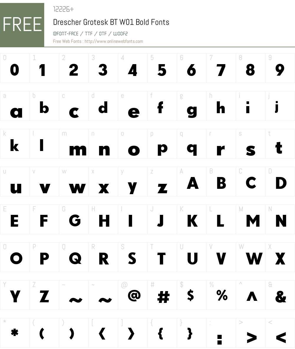 DrescherGroteskBTW01-Bold Font Screenshots