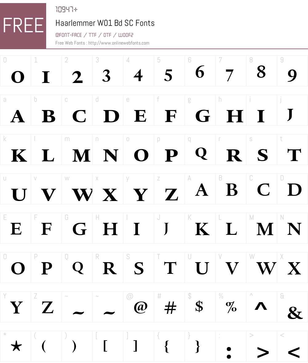 HaarlemmerW01-BdSC Font Screenshots