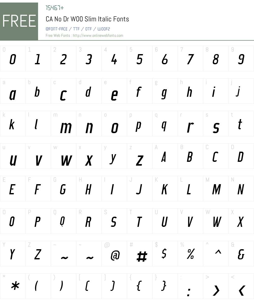 CANoDrW00-SlimItalic Font Screenshots