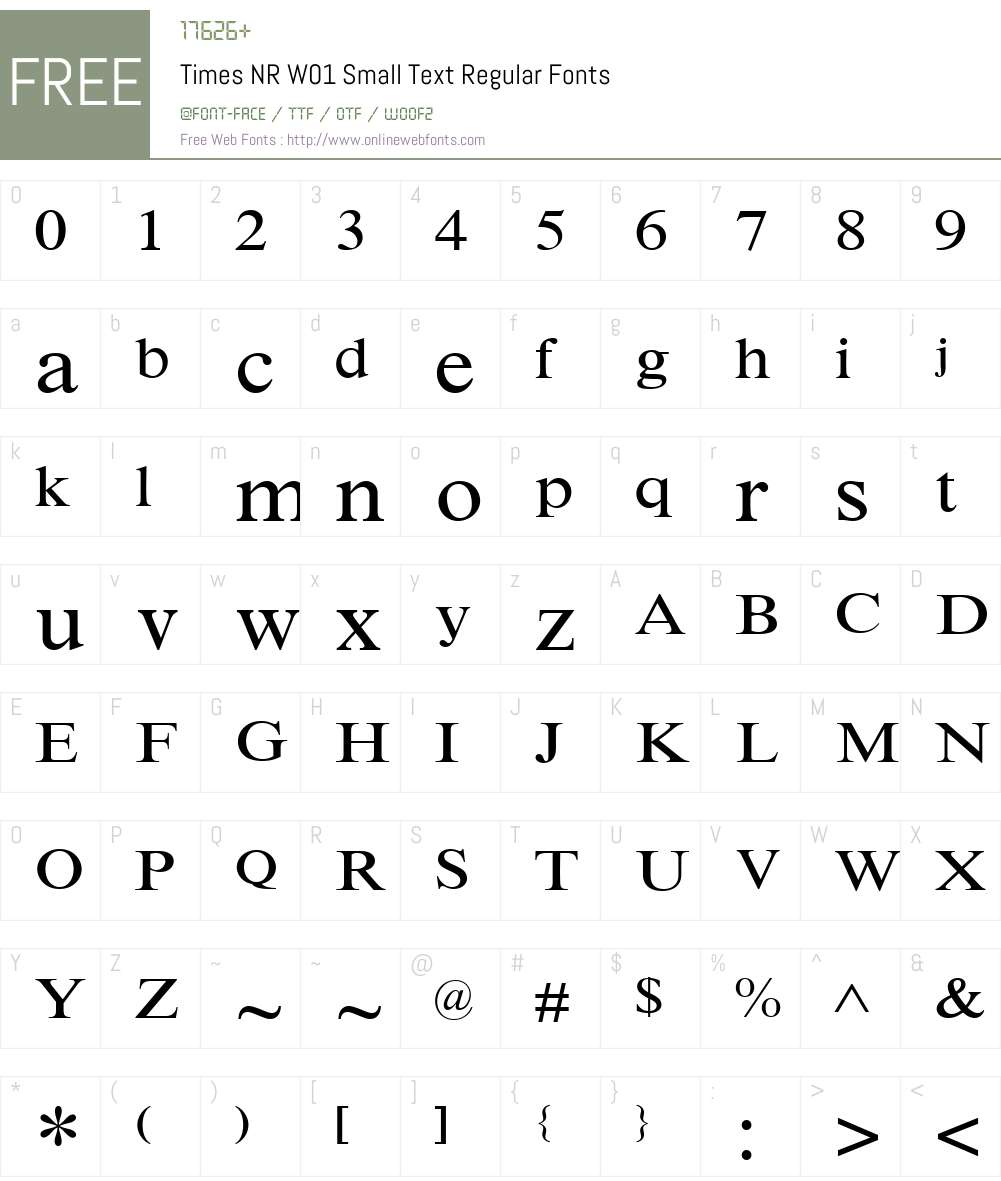 TimesNRW01-SmallTextRegular Font Screenshots