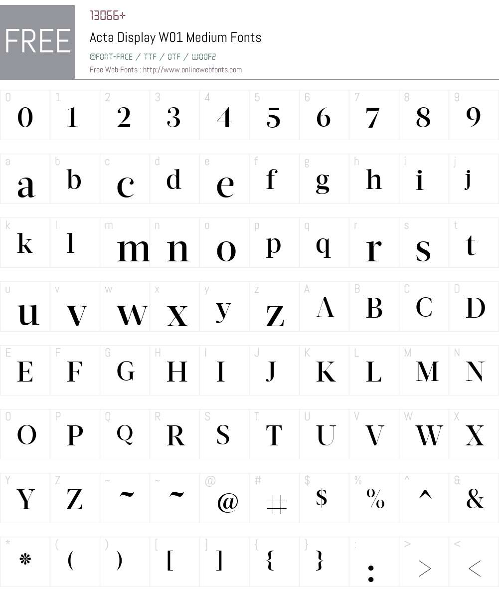 ActaDisplayW01-Medium Font Screenshots