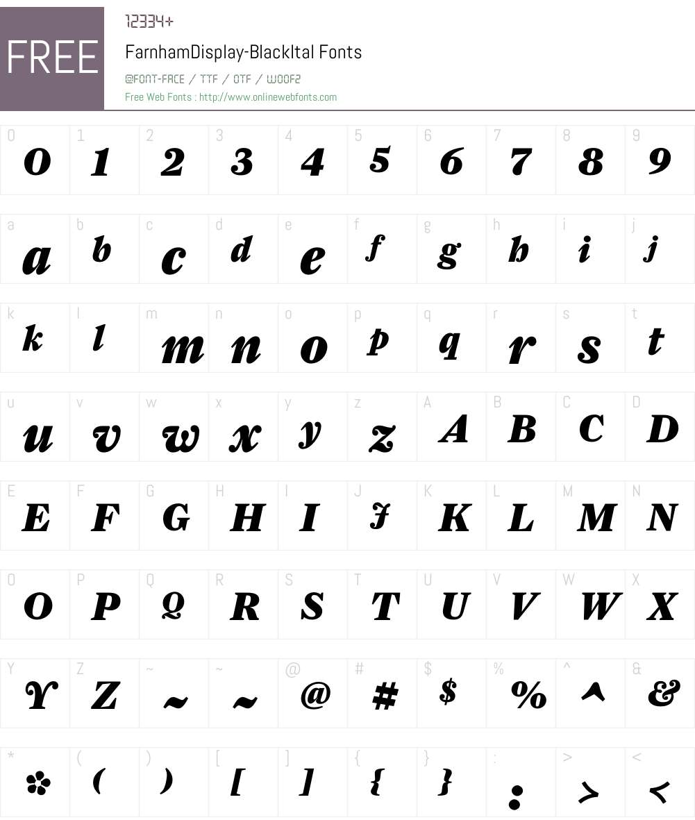 FarnhamDisplay-BlackItal Font Screenshots