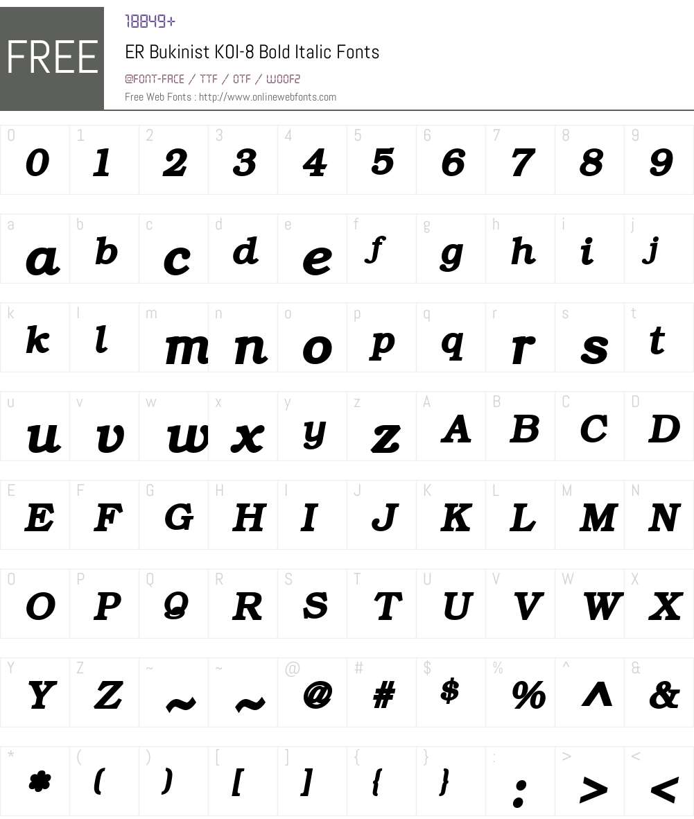 ER Bukinist KOI-8 Font Screenshots