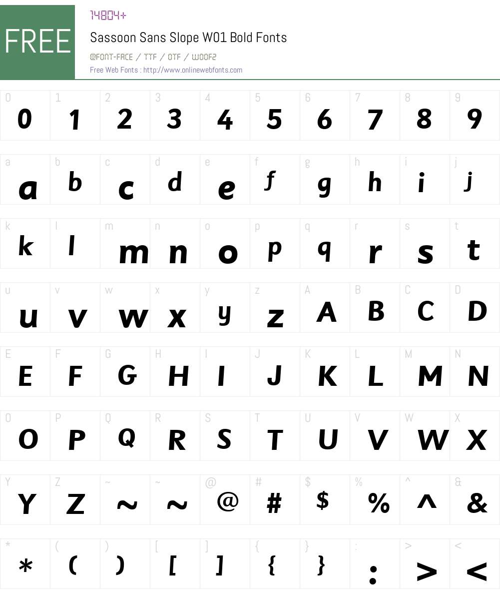 SassoonSansSlopeW01-Bold Font Screenshots