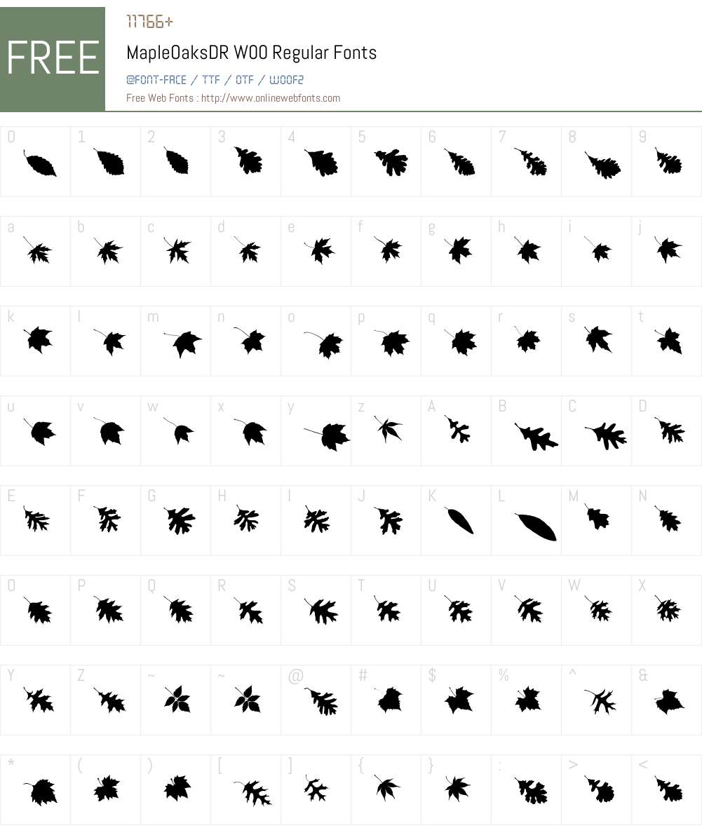 MapleOaksDRW00-Regular Font Screenshots