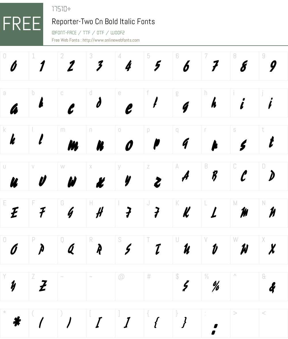 Reporter-Two Cn BI Font Screenshots