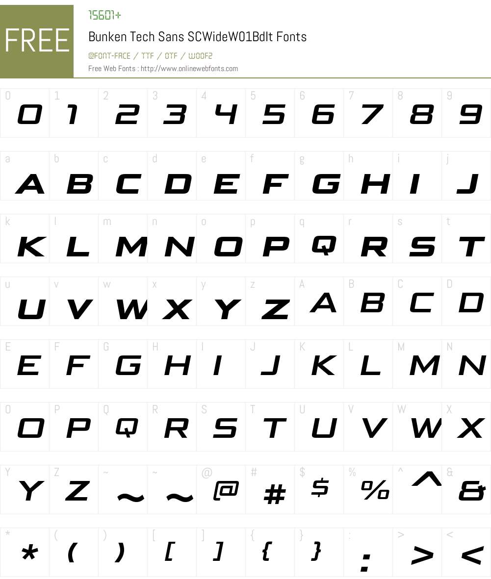 BunkenTechSansSCWideW01-BdIt Font Screenshots