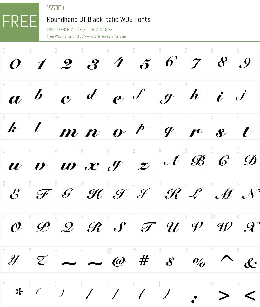 RoundhandBTBlackItalicW08 Font Screenshots