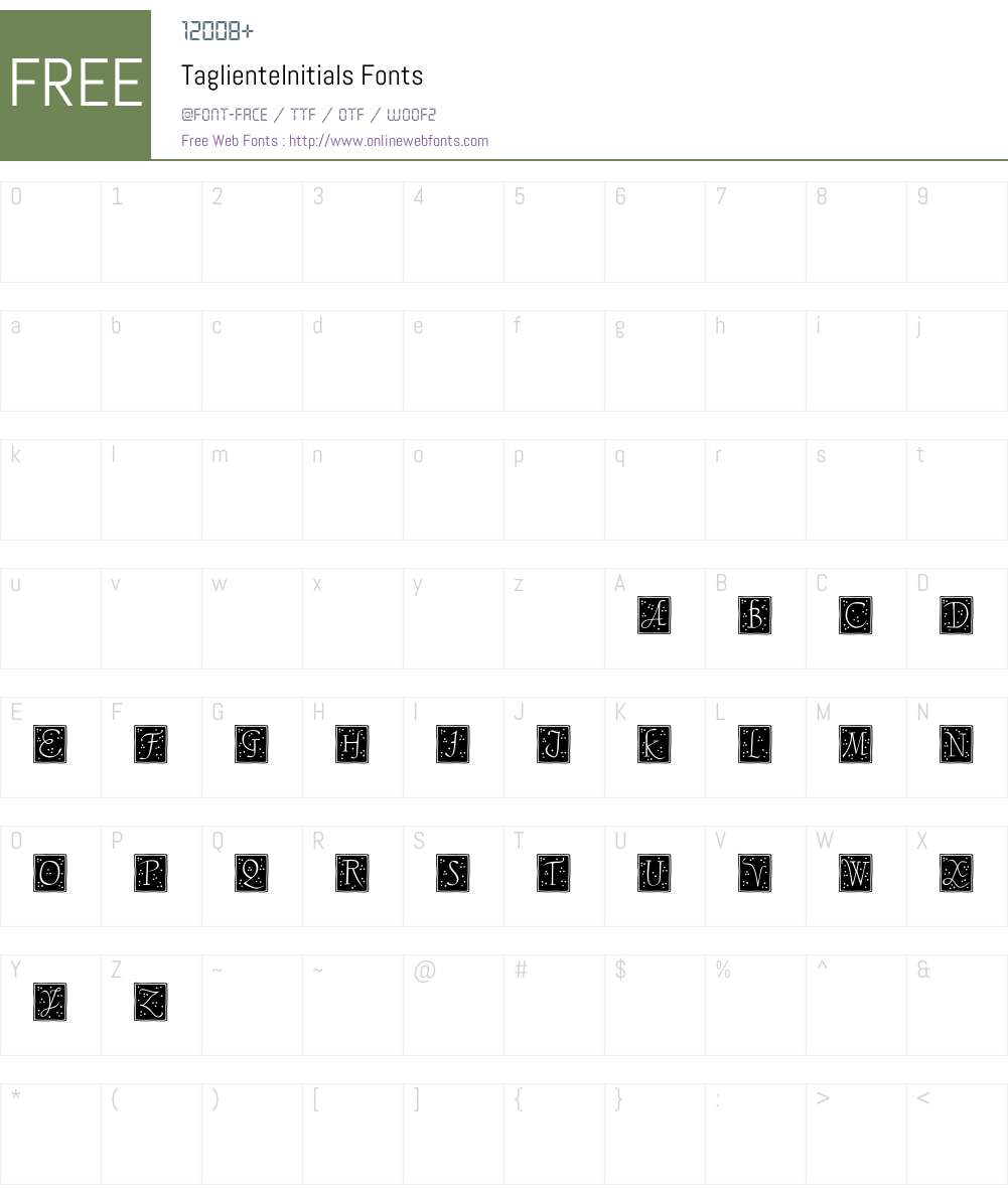 TaglienteInitials Font Screenshots