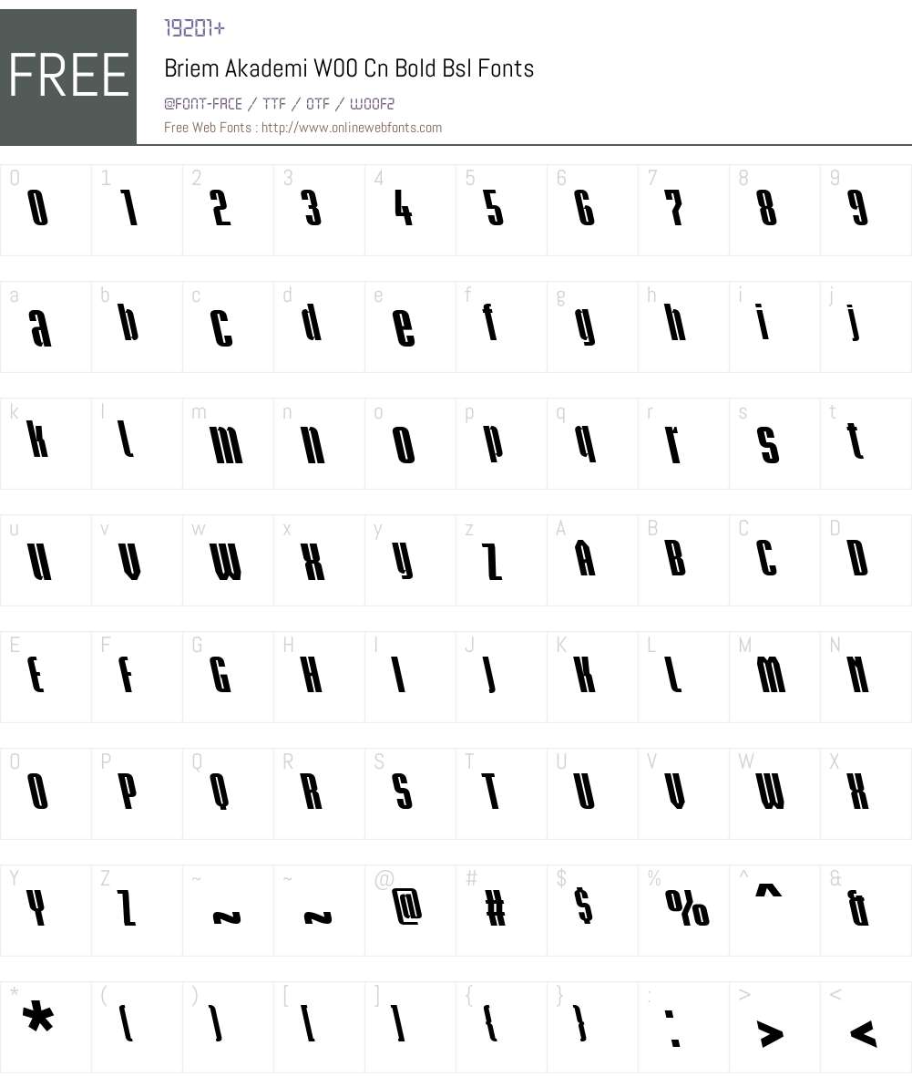 BriemAkademiW00-CnBoldBsl Font Screenshots