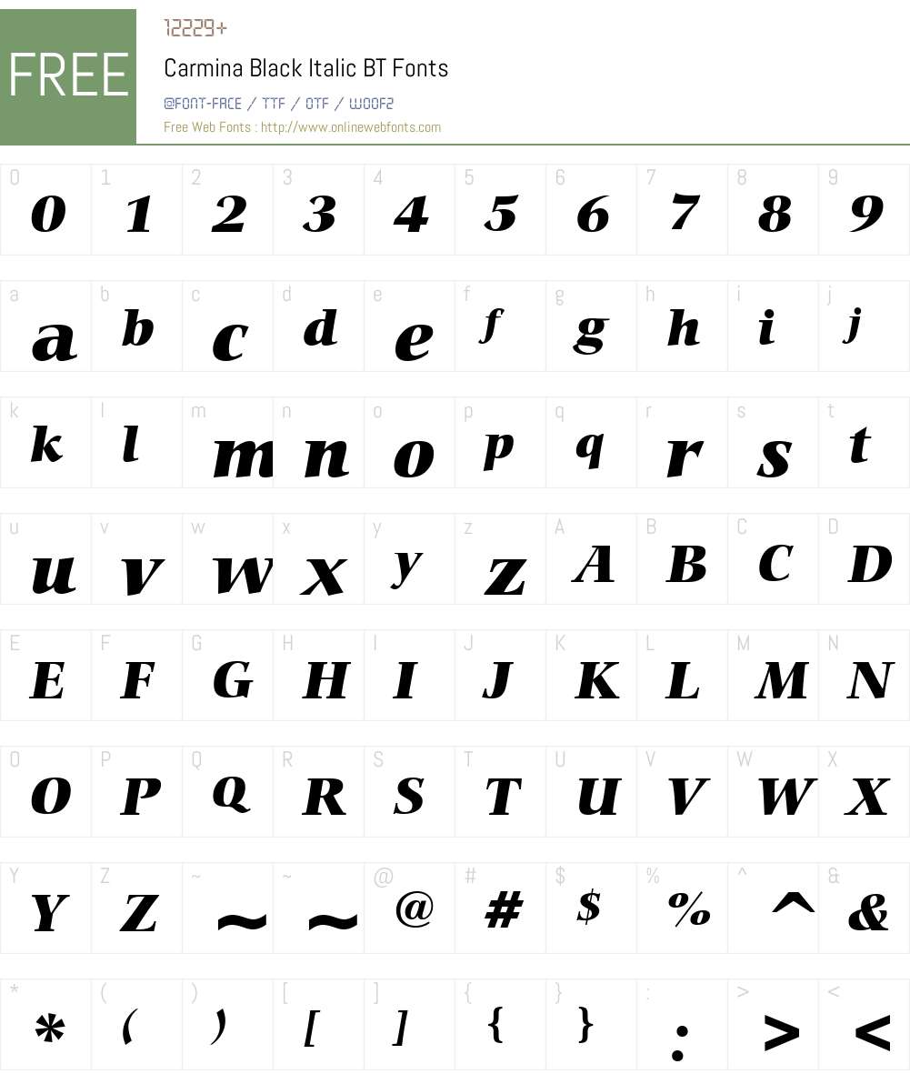 Carmina Blk BT Font Screenshots