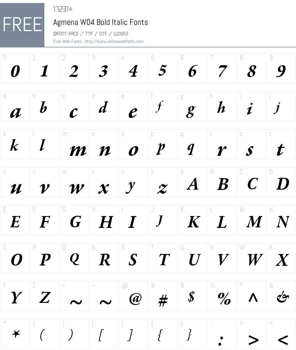 AgmenaW04-BoldItalic Font Screenshots