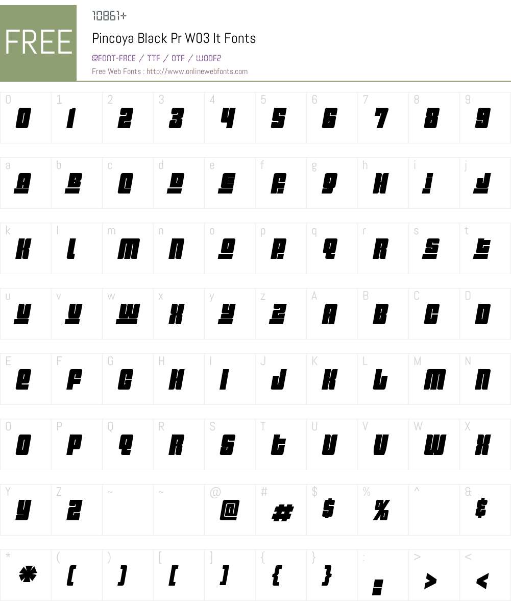 PincoyaBlackPrW03-It Font Screenshots