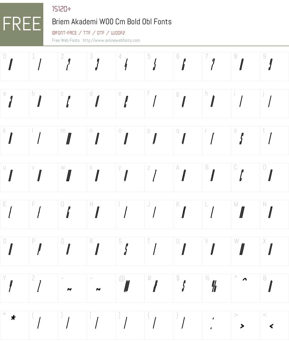 BriemAkademiW00-CmBoldObl Font Screenshots