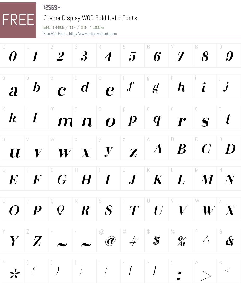 OtamaDisplayW00-BoldItalic Font Screenshots