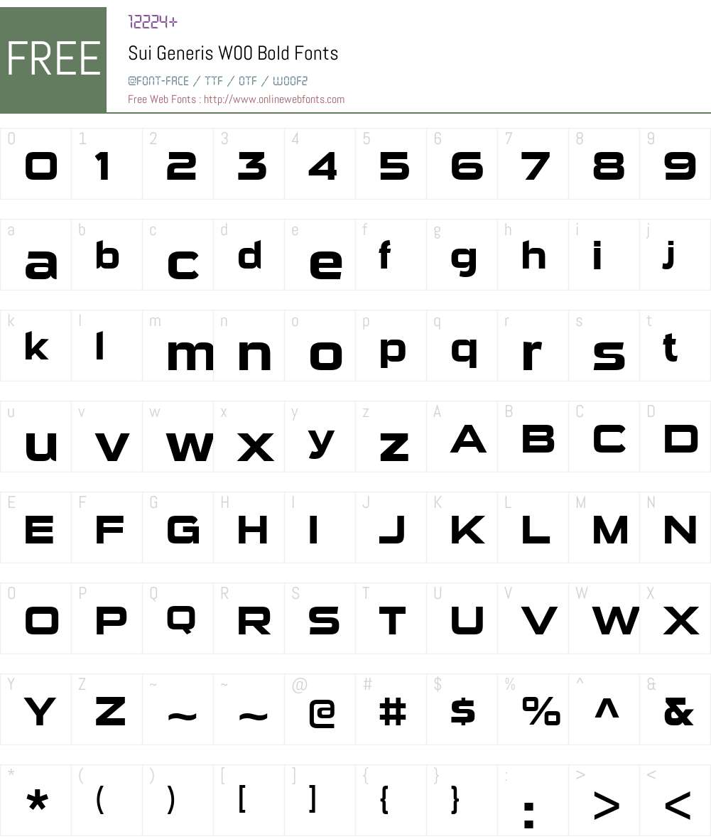 SuiGenerisW00-Bold Font Screenshots