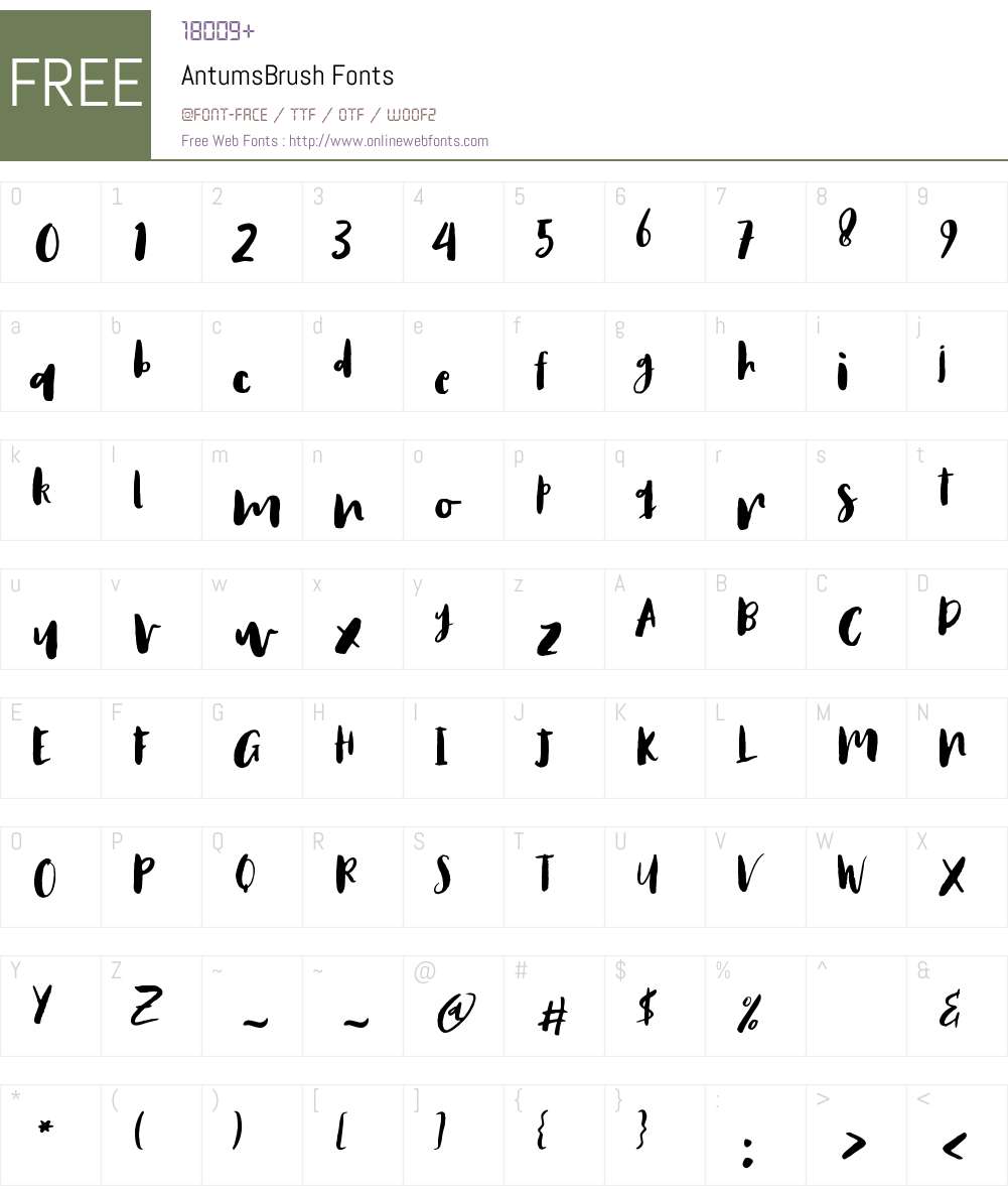 Antums Brush Font Screenshots