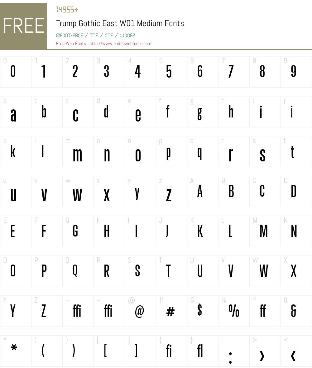 TrumpGothicEastW01-Medium Font Screenshots