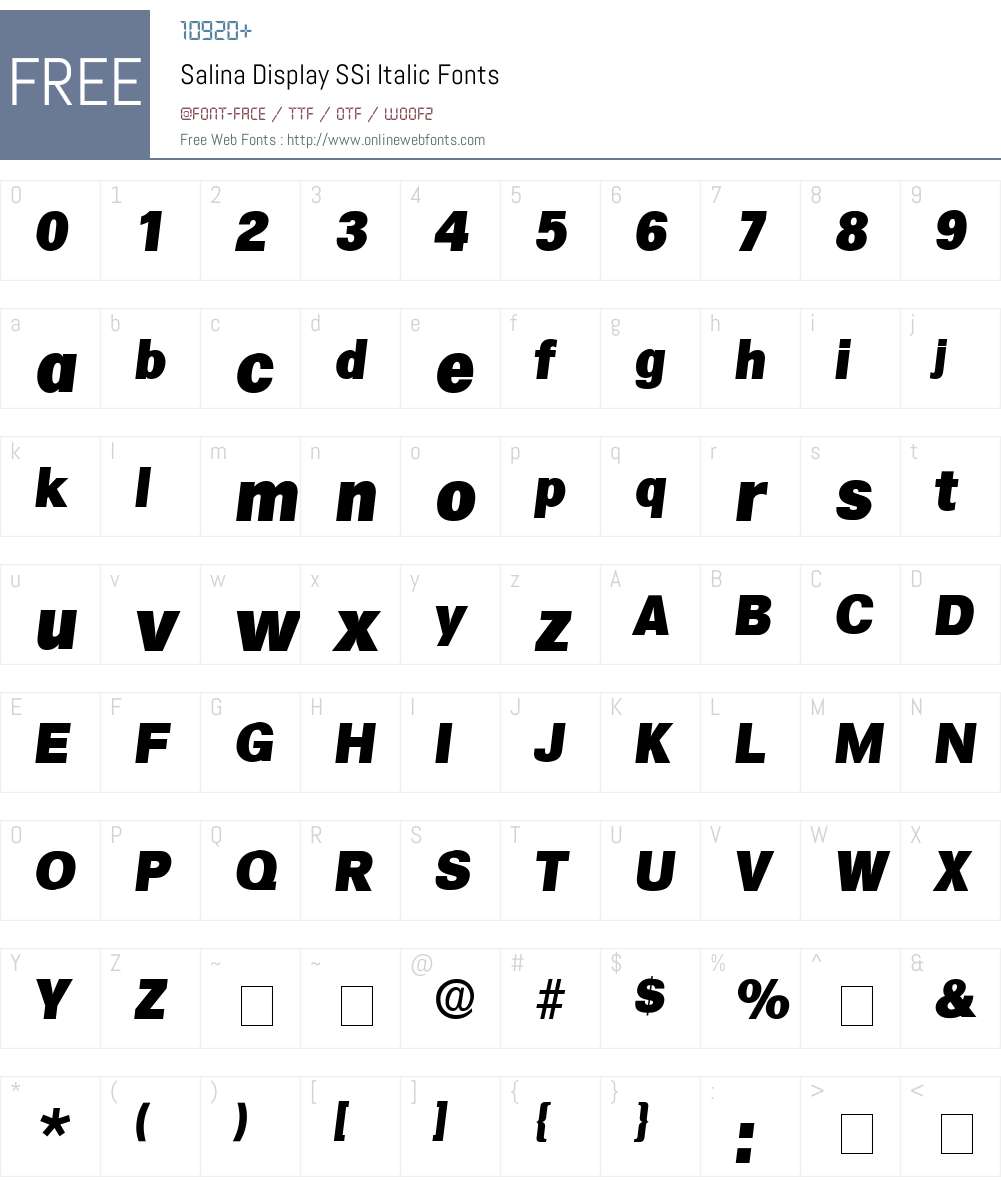 Salina Display SSi Font Screenshots