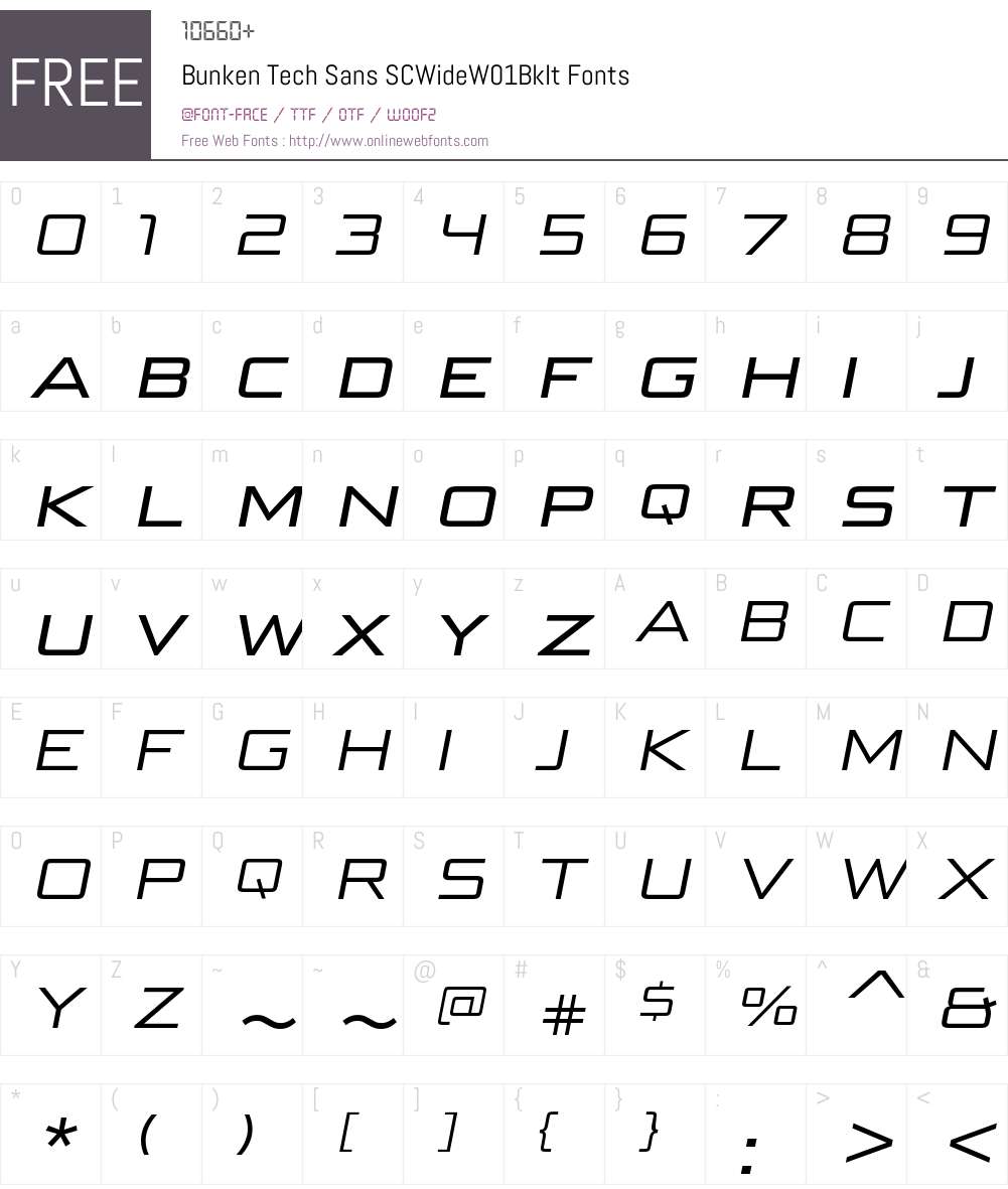 BunkenTechSansSCWideW01-BkIt Font Screenshots