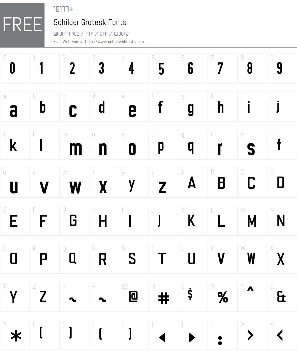 SchilderGrotesk Font Screenshots