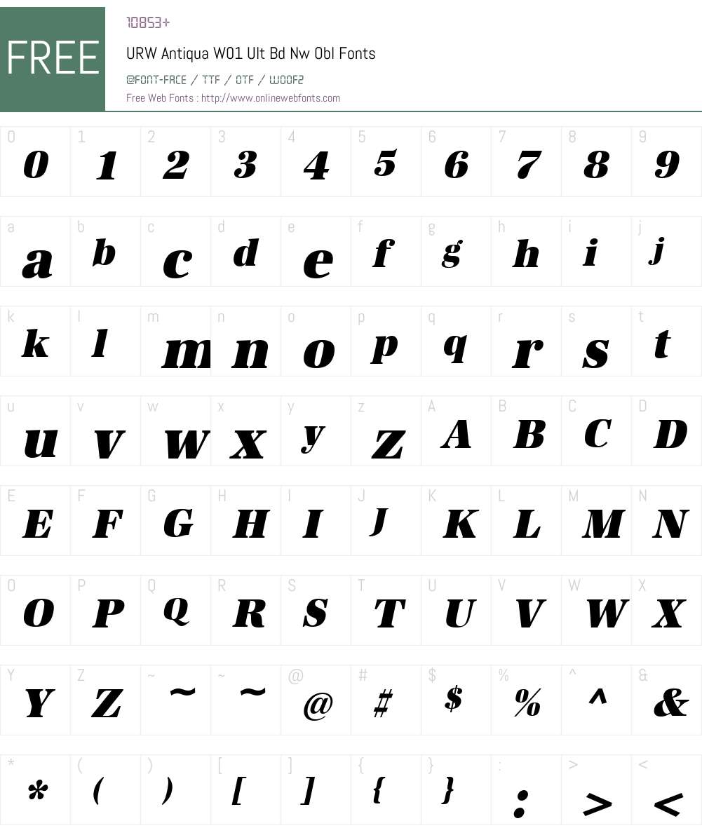 URWAntiquaW01-UltBdNwObl Font Screenshots
