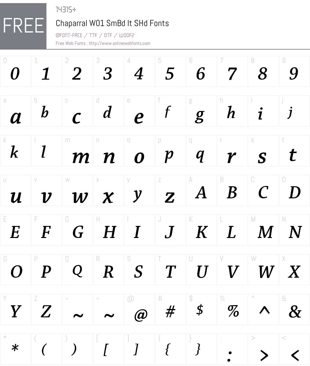 ChaparralW01-SmBdItSHd Font Screenshots