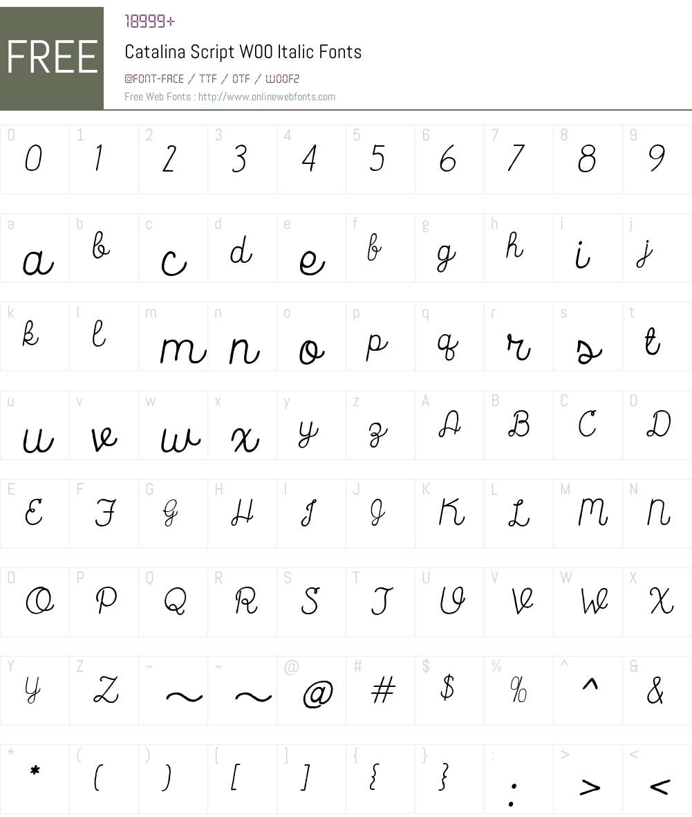 CatalinaScriptW00-Italic Font Screenshots