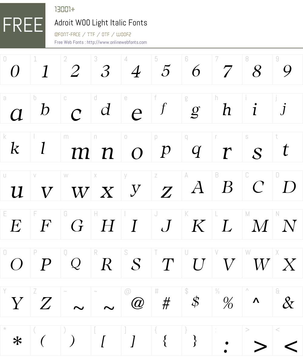 AdroitW00-LightItalic Font Screenshots