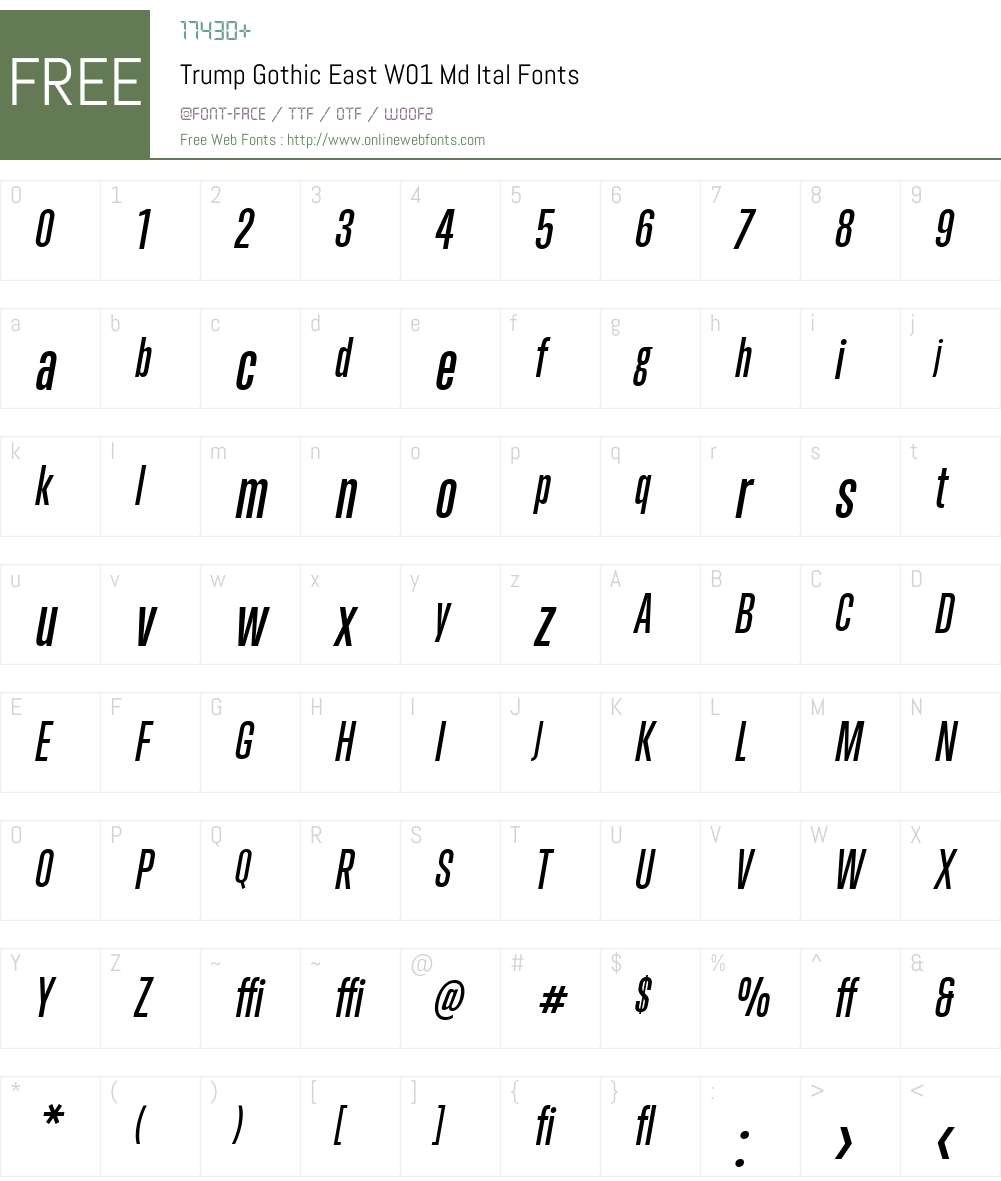 TrumpGothicEastW01-MdItal Font Screenshots