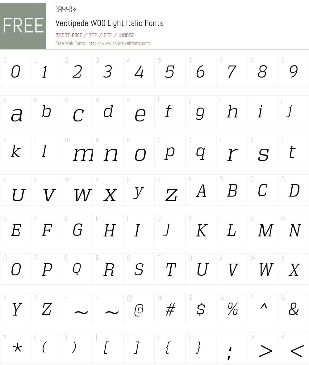 VectipedeW00-LightItalic Font Screenshots