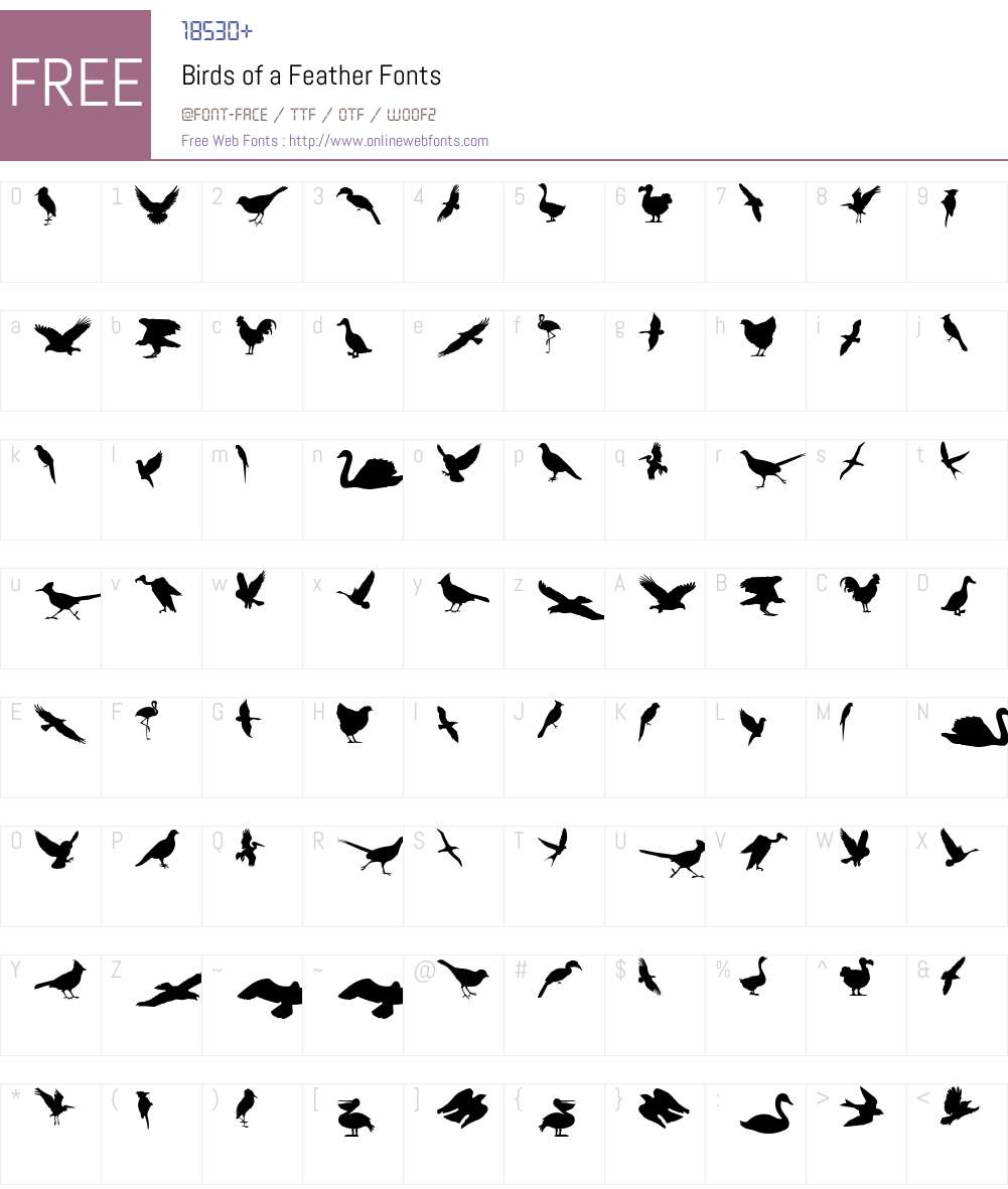 Birds of a Feather Font Screenshots