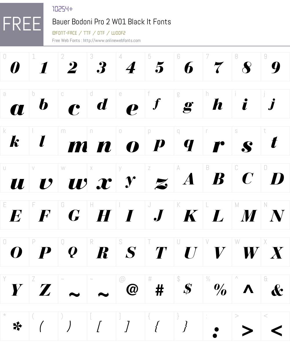 BauerBodoniPro2W01-BlackIt Font Screenshots