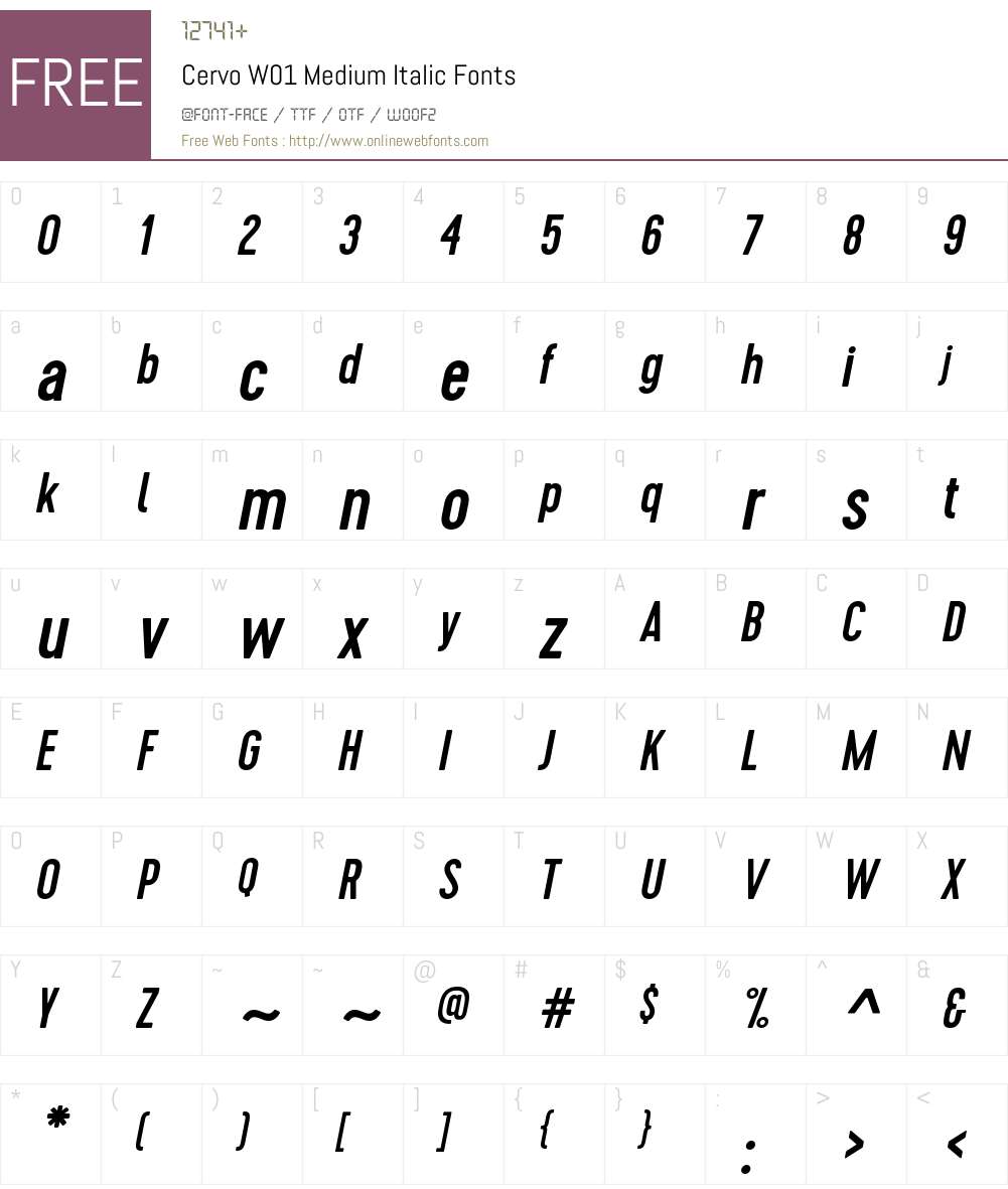 CervoW01-MediumItalic Font Screenshots