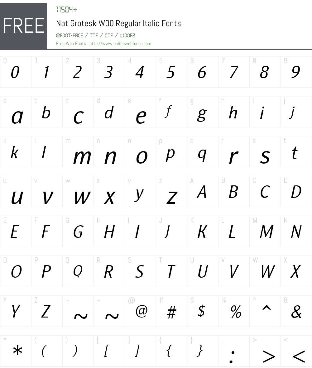NatGroteskW00-RegularItalic Font Screenshots