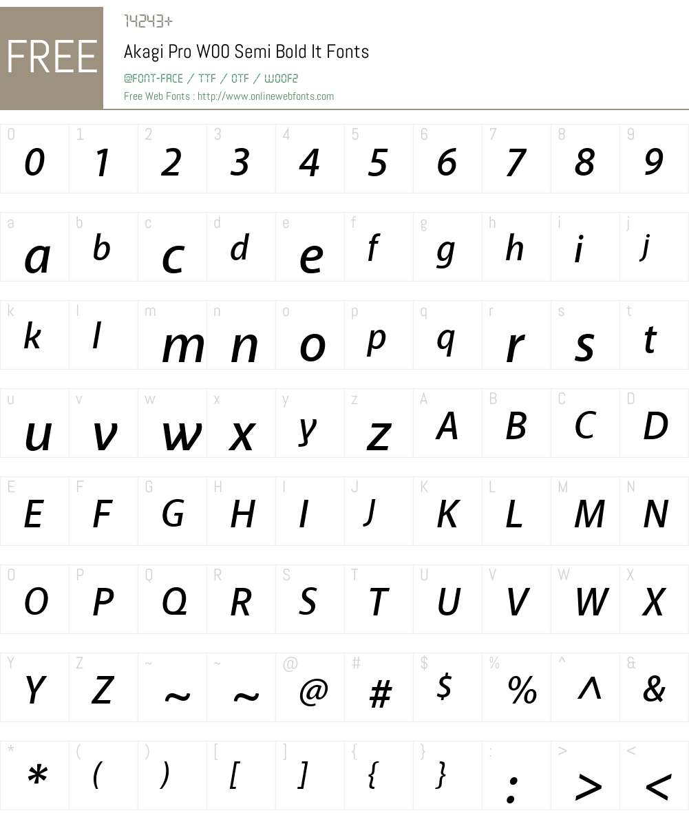 AkagiProW00-SemiBoldIt Font Screenshots