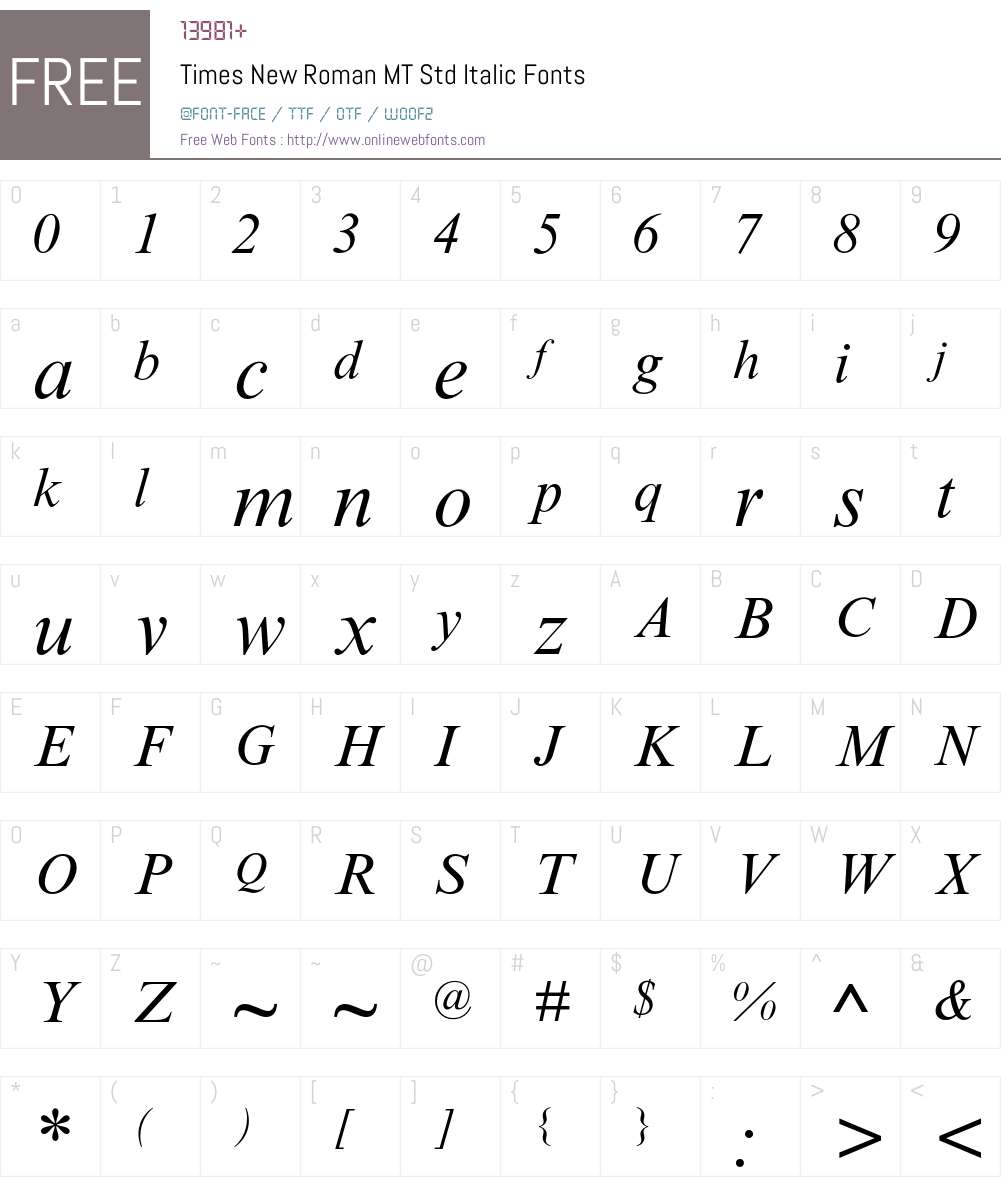 Times New Roman MT Std Font Screenshots