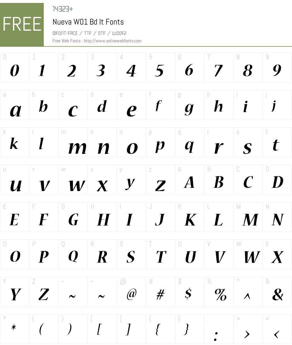 NuevaW01-BdIt Font Screenshots
