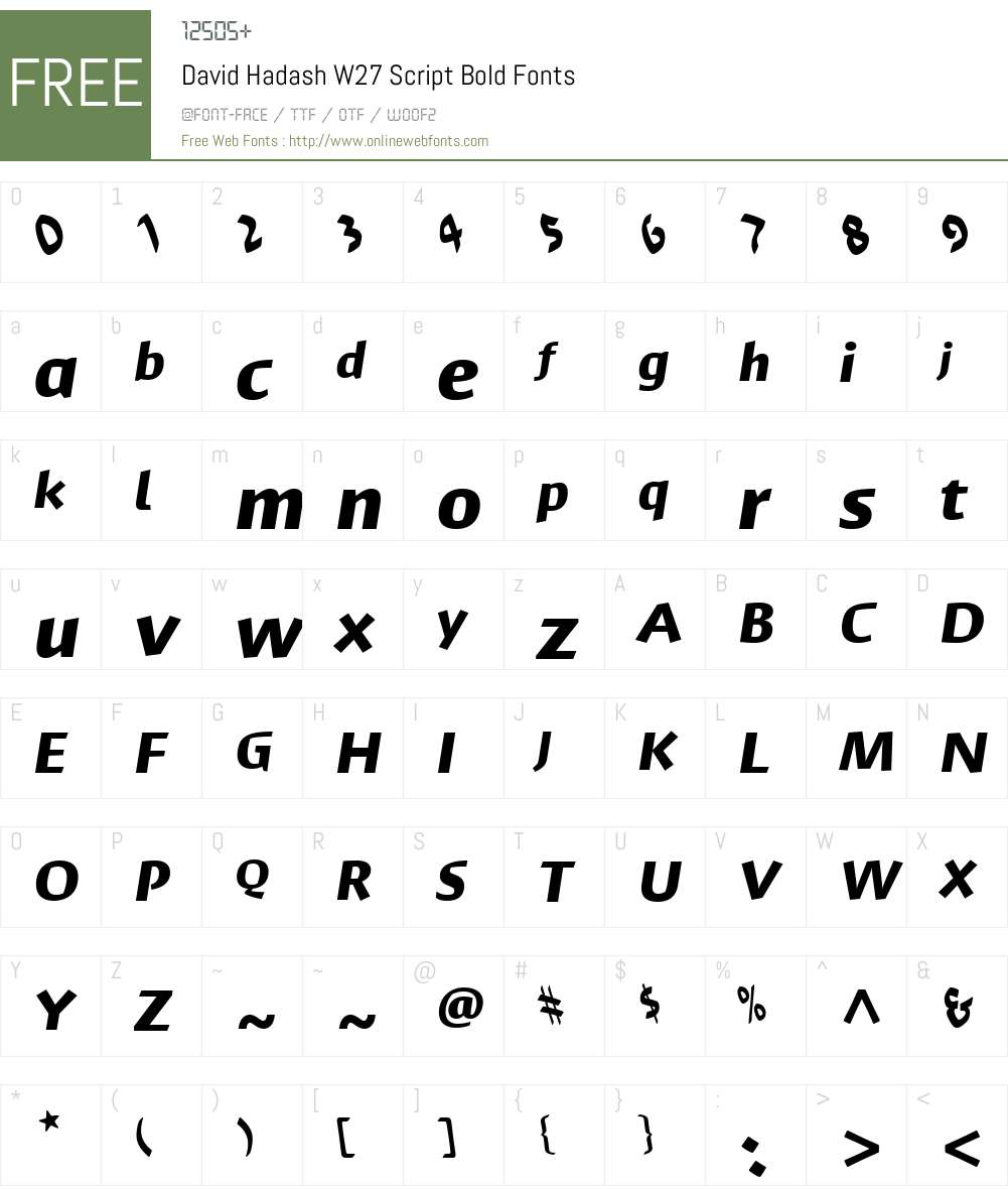 DavidHadashW27Script-Bold Font Screenshots