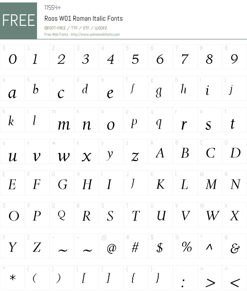 RoosW01-RomanItalic Font Screenshots