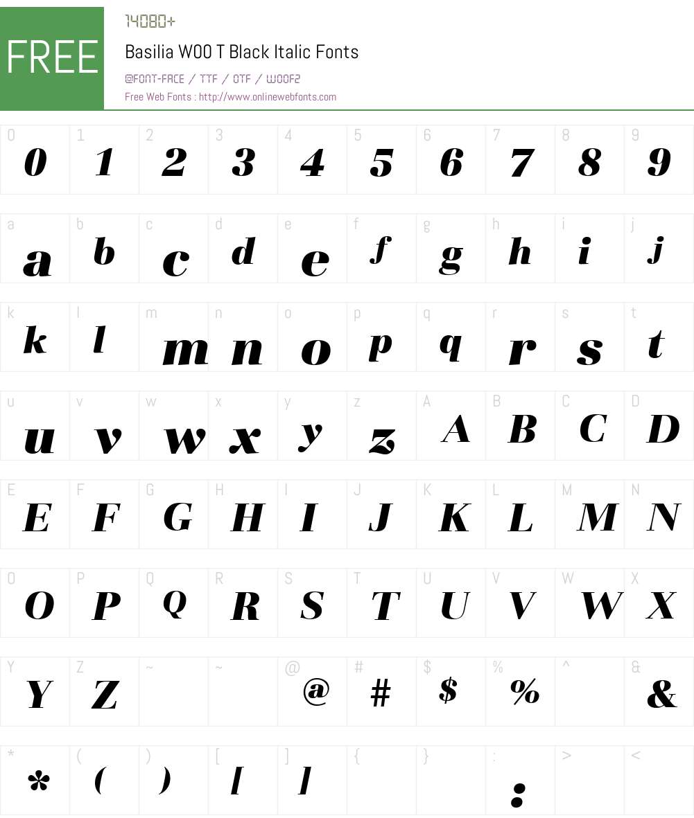 BasiliaW00-TBlackItalic Font Screenshots