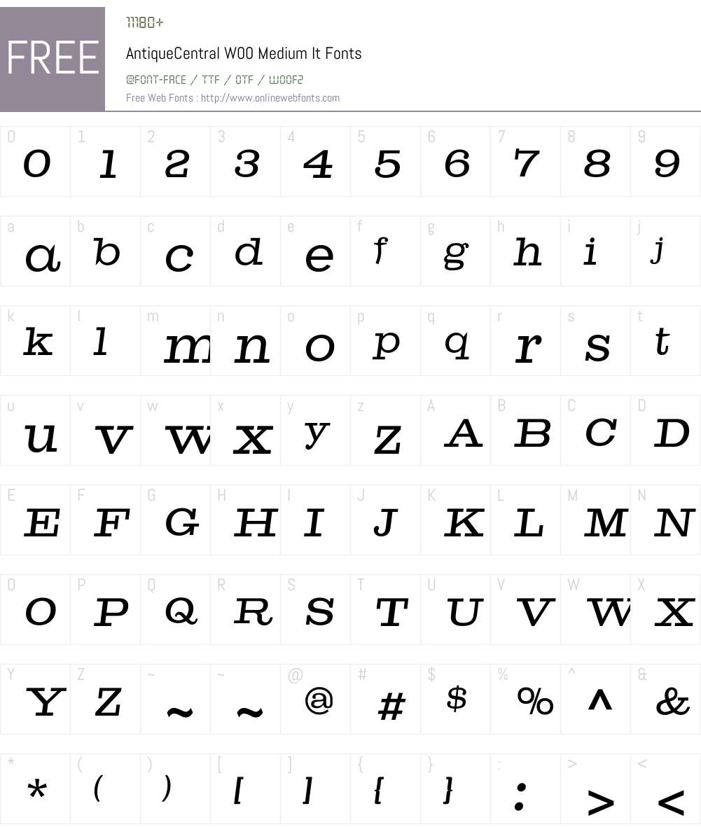 AntiqueCentralW00-MediumIt Font Screenshots